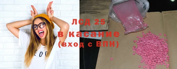 крисы Богородицк