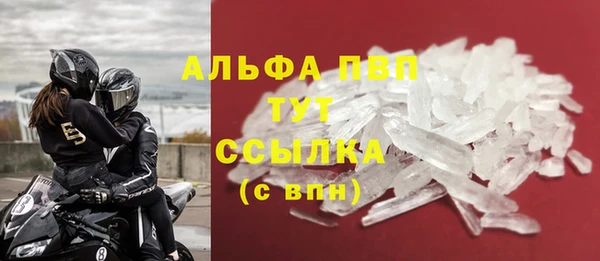 стаф Богданович