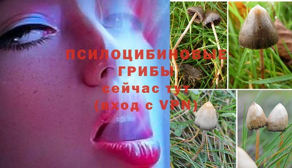 jwh Богородск