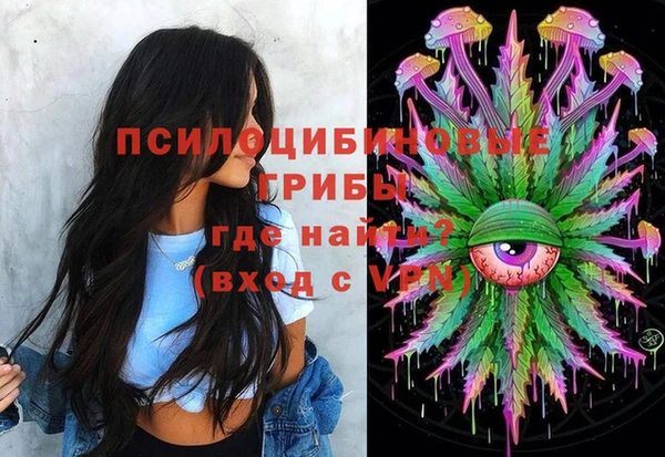 стаф Богданович