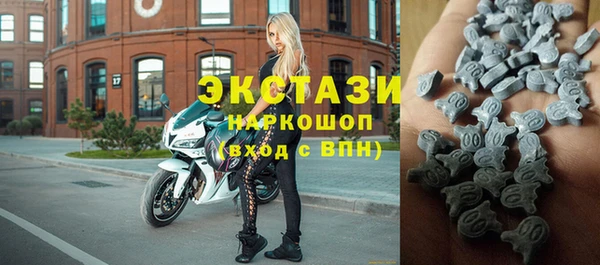 стаф Богданович