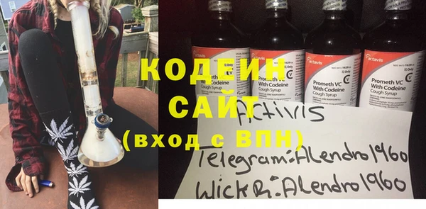 крисы Богородицк
