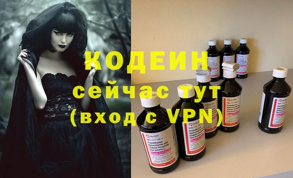 стаф Богданович